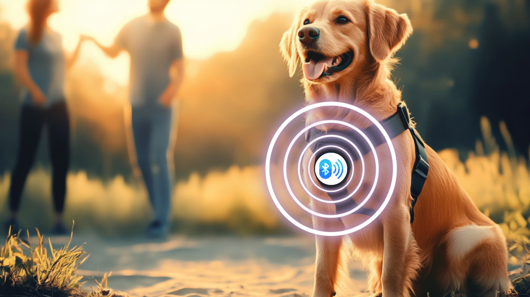 Dog wearing a smart pet tracker in a backyard with digital signal icons