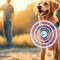 Dog wearing a smart pet tracker in a backyard with digital signal icons
