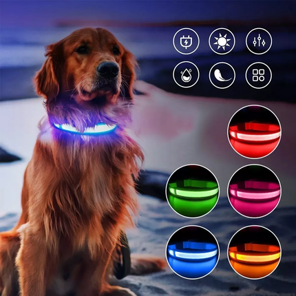 Glow-In-The-Dark LED Dog Collar