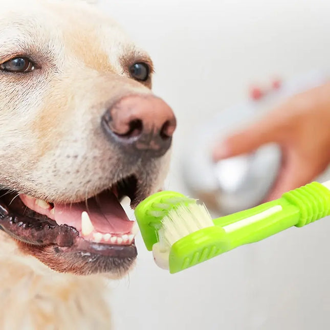 Triple-Sided Pet Toothbrush