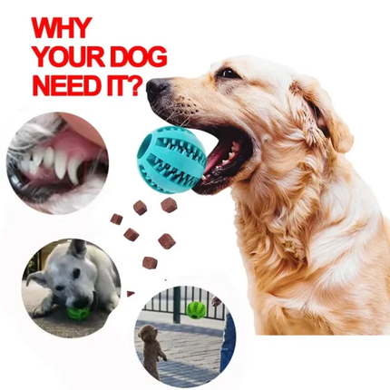 Interactive Dog Treat Ball